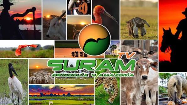 SURAM TV  casanare